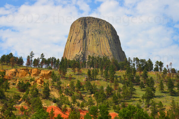 Devils Tower Rises Above Red Rocks And Green Pines In Devils Tower National Monument, Wyoming