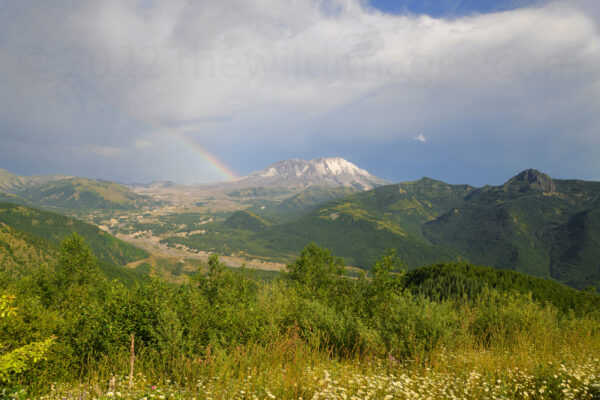 Rainbow Over The Remnants In Mt. St. Helens National Volcanic Monument, Washington