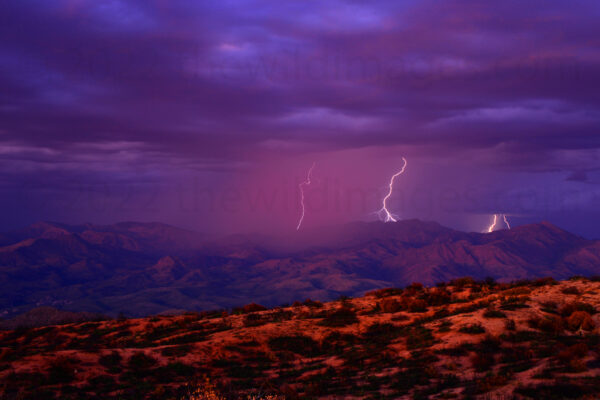 Late Sunset Monsoon Rain Curtains And Lightning Strikes Over The Peaks In The Mazatzal Mountains, Arizona