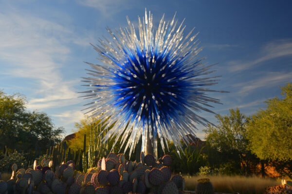 Glass Sculpture Stands Over Various Cacti And Trees Of The Desert Botanical Garden In Phoenix, Arizona