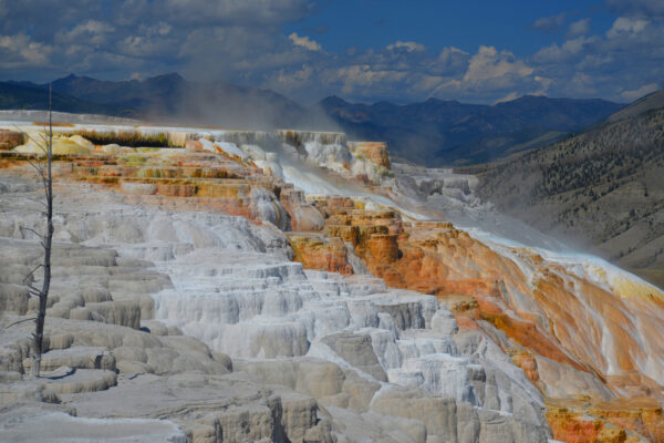 The Colorful Steps Of The Mammoth Hot Springs Mineral Terraces Hang High Above The Canyon In Yellowstone National Park, Wyoming