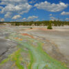 A Colorful Palette Covers A Slightly Cooled Runoff Channel Far From Its Source In The Porcelain Basin Of Yellowstone National Park, Wyoming