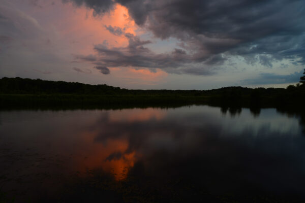 A Dark Cloud Shelf Slides Under A Tall Cumulonimbus Cloud Illuminated Orange As Sunset Falls Over the Wild Wetlands Of Central Wisconsin