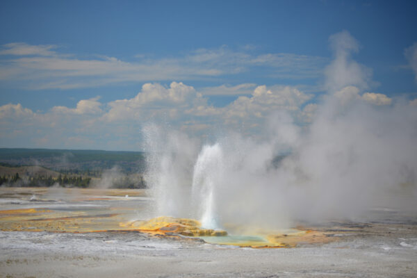 The Perpetually Constant Eruption Of Clepsydra Geyser Rises Over The Terrain Of The Lower Geyser Basin In Yellowstone National Park, Wyoming