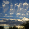 Thin Precipitation Curtains Hang From Numerous Summer Clouds Over A Palo Verde Tree Grove In A Dry Wash Of The Sonoran Desert, Arizona