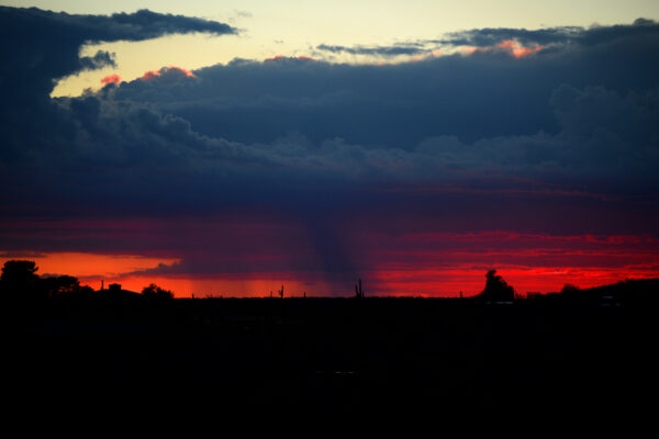 A Neon Orange Sunset Sky Highlights The Silhouettes Of Rain Curtains And Saguaro Cacti In The Hot Desert Around Cave Creek, Arizona