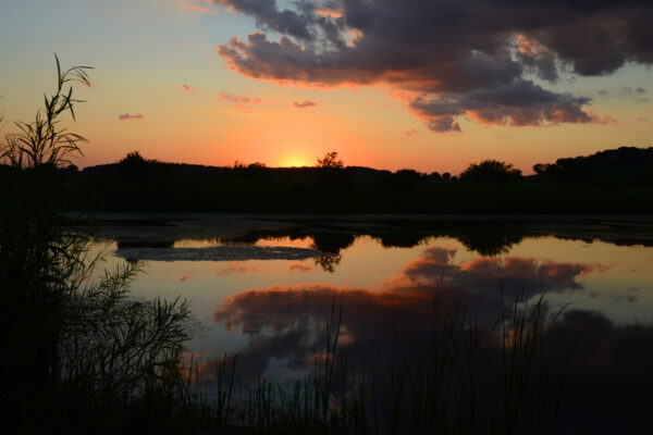 A Bright Orange Solar Halo Arcs Near Dark Clouds Illuminated Underneath By Sunset Reflected In The Remote Wetland Wilderness Of Wisconsin